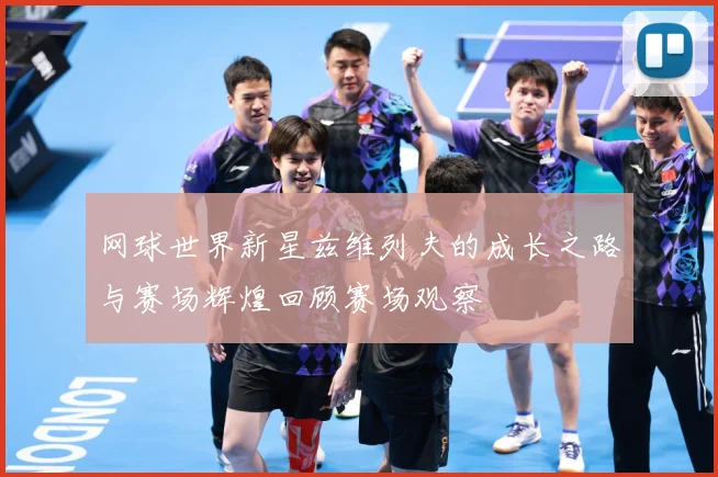 网球世界新星兹维列夫的成长之路与赛场辉煌回顾赛场观察