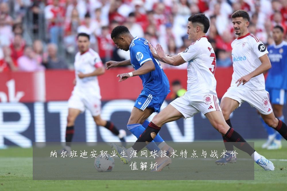 纳尔班迪安职业生涯网球技术特点与战术价值解析